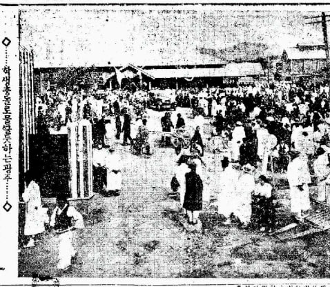 photo_2025-11-03_16-26-14